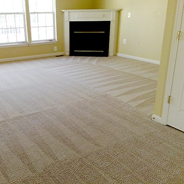 Carpet Cleaning