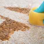 Carpet Cleaning Kent