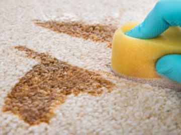 Carpet Cleaning Kent
