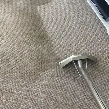 Carpet Cleaning Eastbourne BN20