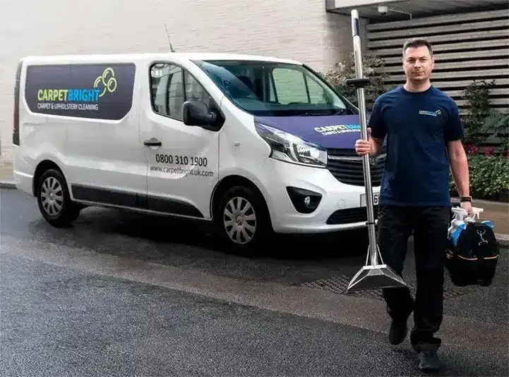 Need Your Carpets Cleaned