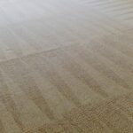 Carpet Cleaning Tips