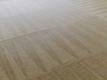 Carpet Cleaning Tips