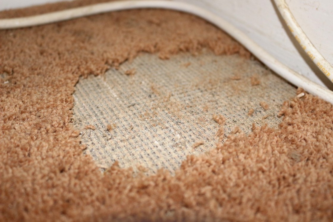 8 signs that your carpet might need replacing - Carpet Bright UK