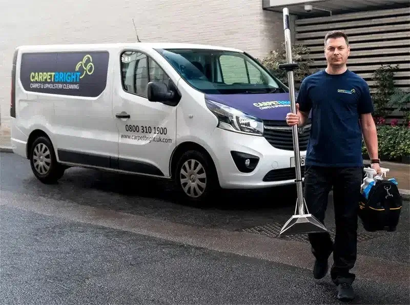 Need Your Carpets Cleaned