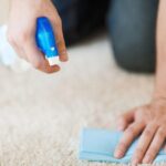 How to Clean Wool Carpets