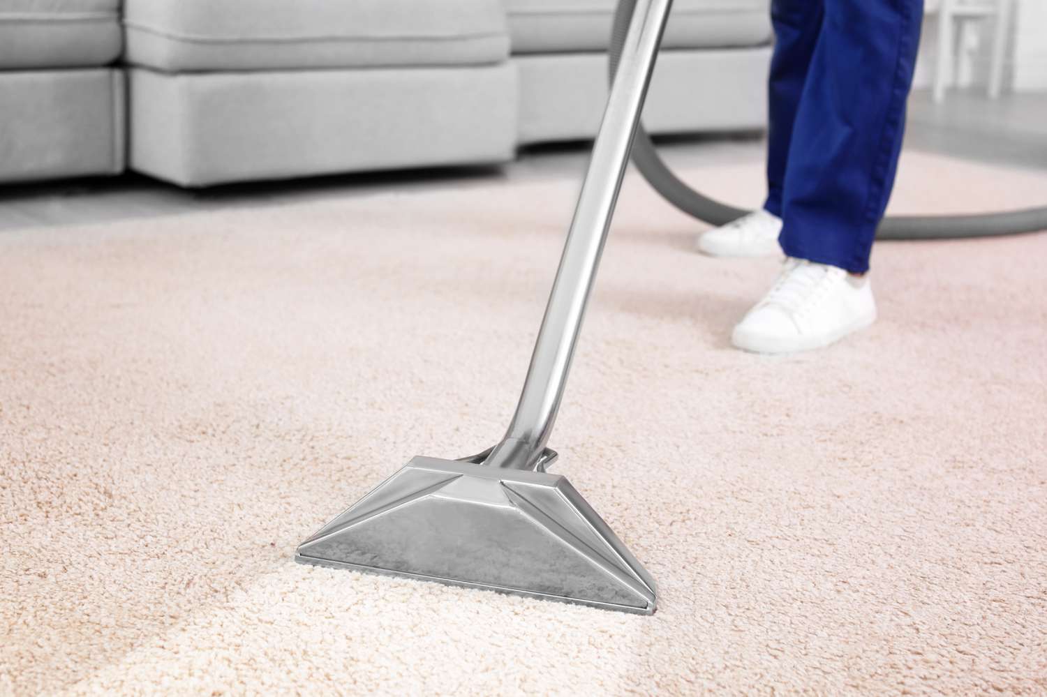 How to maintain my carpets for years