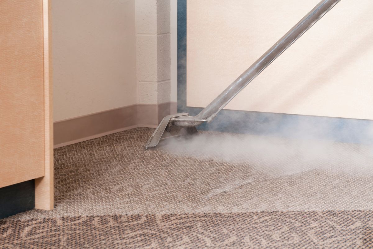 Carpet Cleaning Questions And Answers | 2026