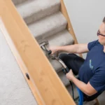 How to Get Rid of Dust Mites from Carpet