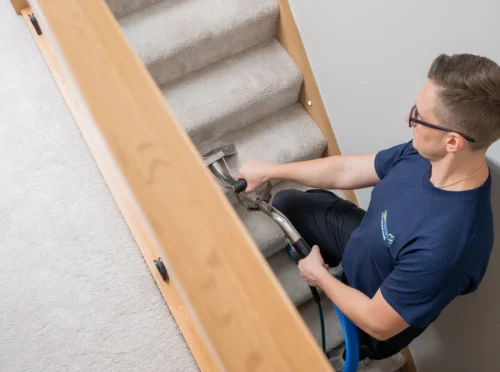 How to Get Rid of Dust Mites from Carpet