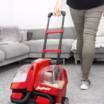 Professional Carpet Cleaning Vs DIY – What’s Best?
