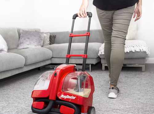 Professional Carpet Cleaning Vs DIY – What’s Best?