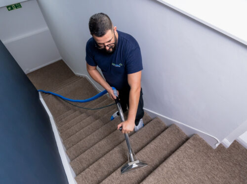 What is the Best Time of Year to Clean Carpets?